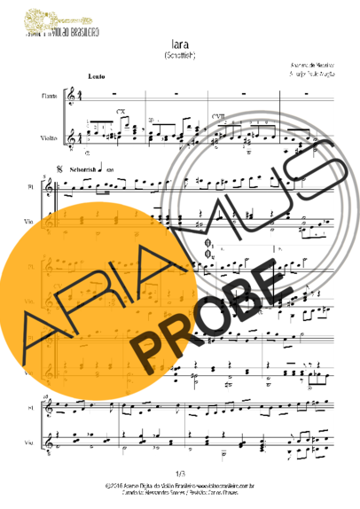 Anacleto de Medeiros Iara score for Akustische Gitarre