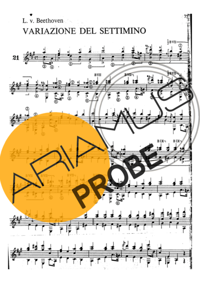 Beethoven Variazione Del Settimino score for Akustische Gitarre