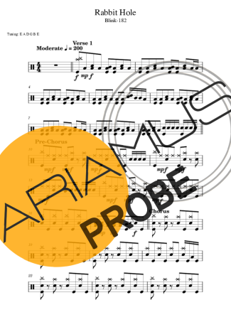 Blink 182 Rabbit Hole score for Schlagzeug