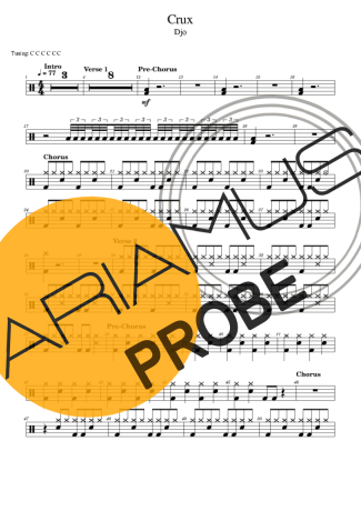 Djo Crux score for Schlagzeug