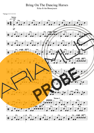Echo & The Bunnymen Bring On The Dancing Horses score for Schlagzeug