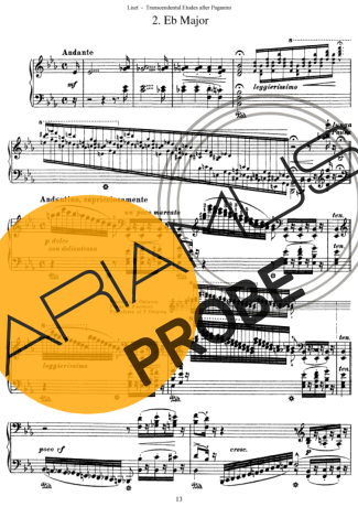 Franz Liszt Études D´exécution Transcendante D´après Paganini S.140 (Etude 2) score for Klavier
