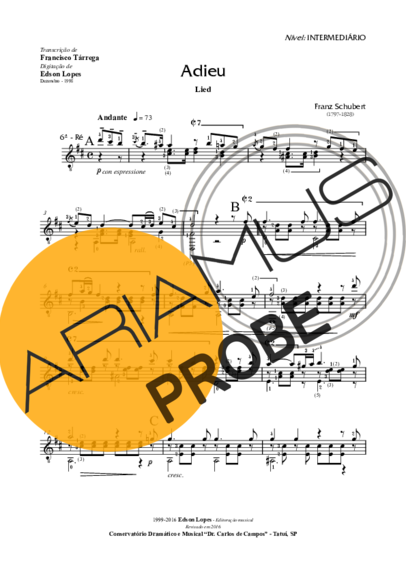Franz Schubert Adieu (lied) score for Akustische Gitarre