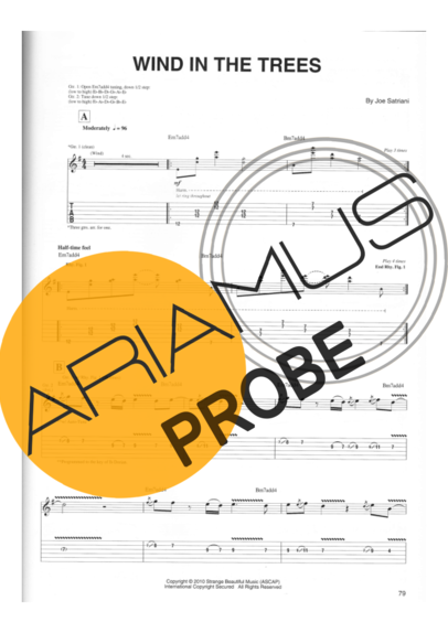 Joe Satriani Wind In The Trees score for Gitarre