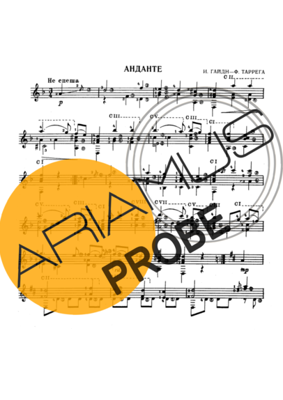 Joseph Haydn Andante score for Akustische Gitarre