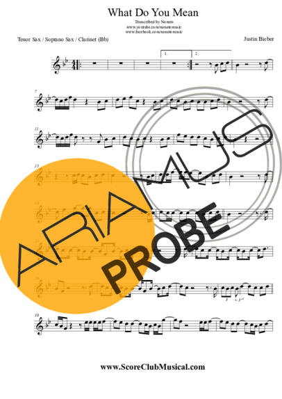 Justin Bieber What Do You Mean score for Tenor-Saxophon Sopran (Bb)