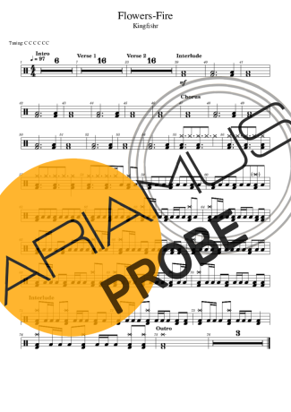 Kingfishr Flowers Fire score for Schlagzeug