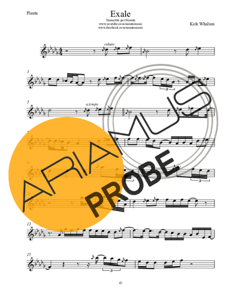 Kirk Whalum Exale (Shoop Shoop) score for Floete