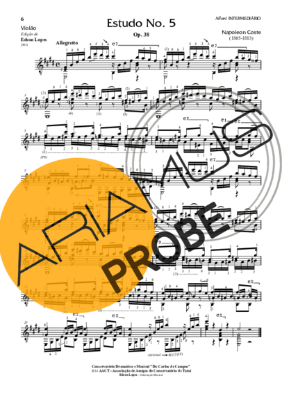 Napoléon Coste Estudo Op. 38 Nr 05 score for Akustische Gitarre