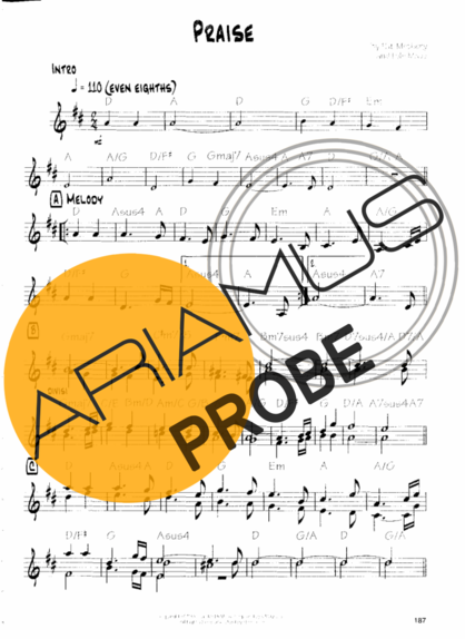 Pat Metheny Praise score for Gitarre