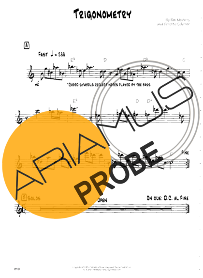 Pat Metheny Trigonometry score for Gitarre