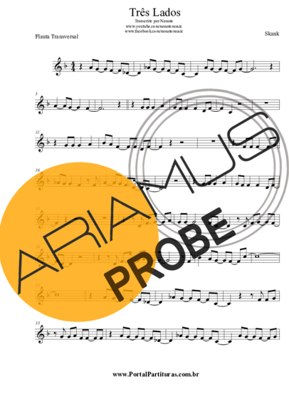 Skank Três Lados score for Floete